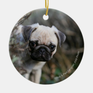 Fawn Pug Puppy Headshot Ceramic Ornament