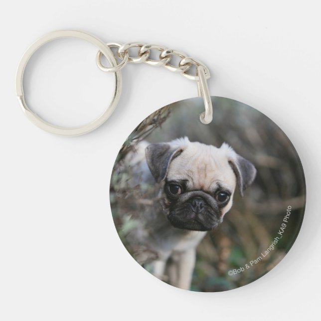 Fawn Pug Puppy Headshot Keychain (Front)