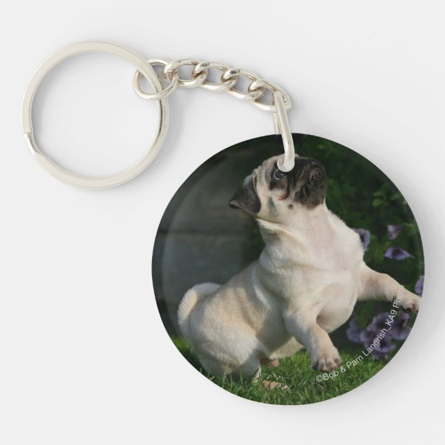 Fawn Pug Puppy Keychain (Front)