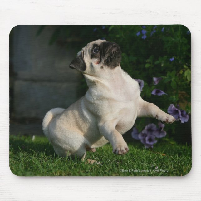 Fawn Pug Puppy Mouse Pad (Front)