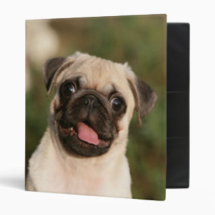 Fawn Pug Puppy Panting Binder