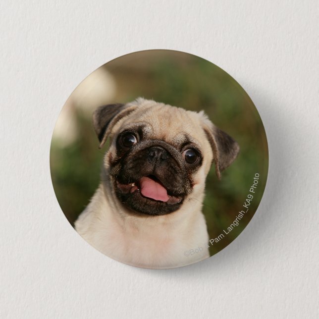 Fawn Pug Puppy Panting Button (Front)