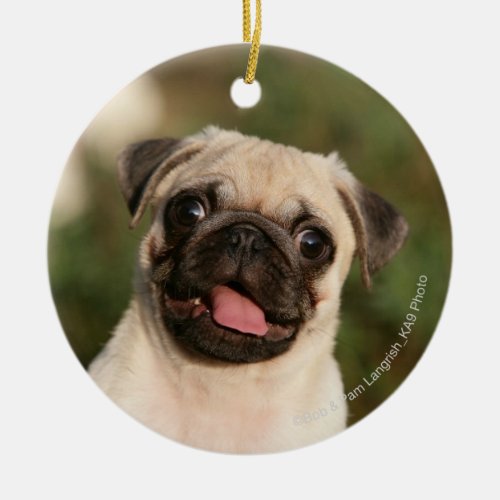 Fawn Pug Puppy Panting Ceramic Ornament