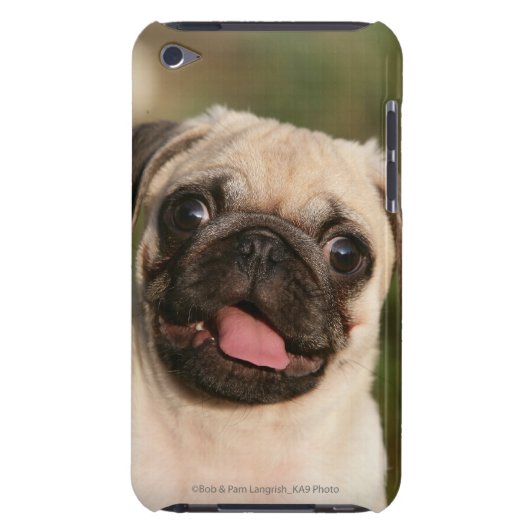Fawn Pug Puppy Panting iPod Touch Case-Mate Case (Back)