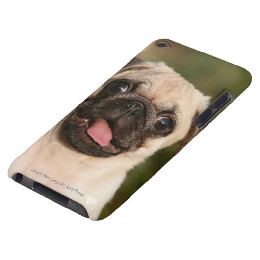 Fawn Pug Puppy Panting iPod Touch Case-Mate Case (Bottom)