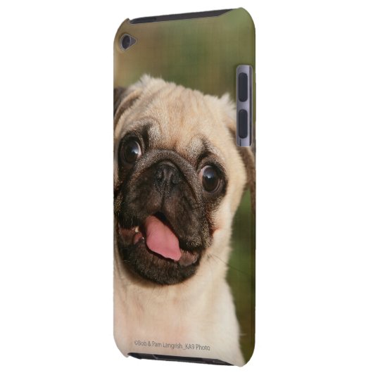Fawn Pug Puppy Panting iPod Touch Case-Mate Case (Back Left)