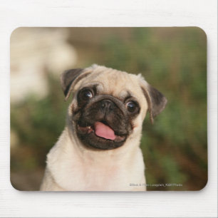 Fawn Pug Puppy Panting Mouse Pad
