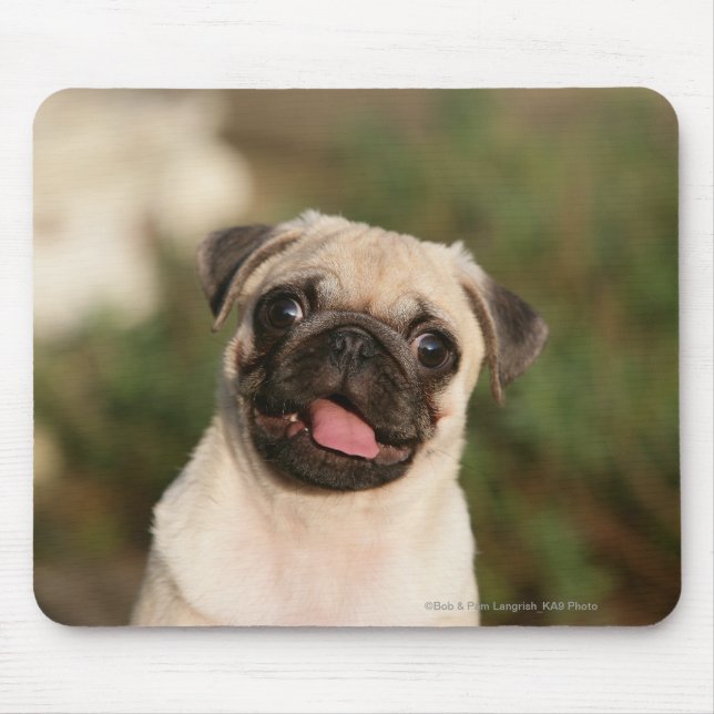 Fawn Pug Puppy Panting Mouse Pad (Front)