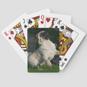 Fawn Pug Puppy Poker Cards