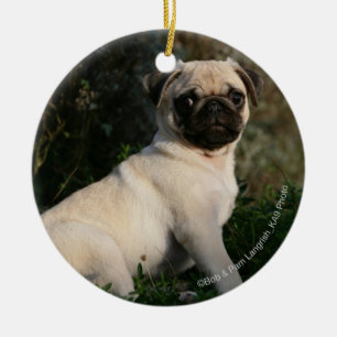 Fawn Pug Puppy Sitting Ceramic Ornament