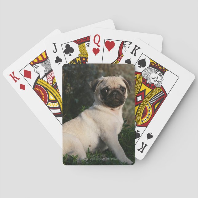 Fawn Pug Puppy Sitting Poker Cards (Back)