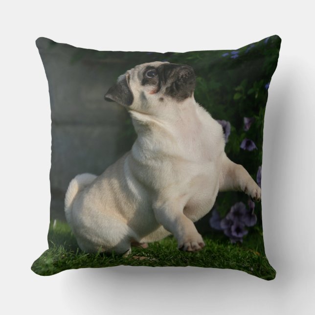 Fawn Pug Puppy Throw Pillow (Front)