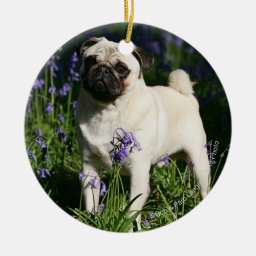 Fawn Pug Standing in the Bluebells Ceramic Ornament