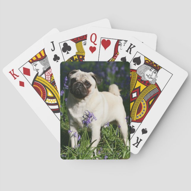 Fawn Pug Standing in the Bluebells Poker Cards (Back)