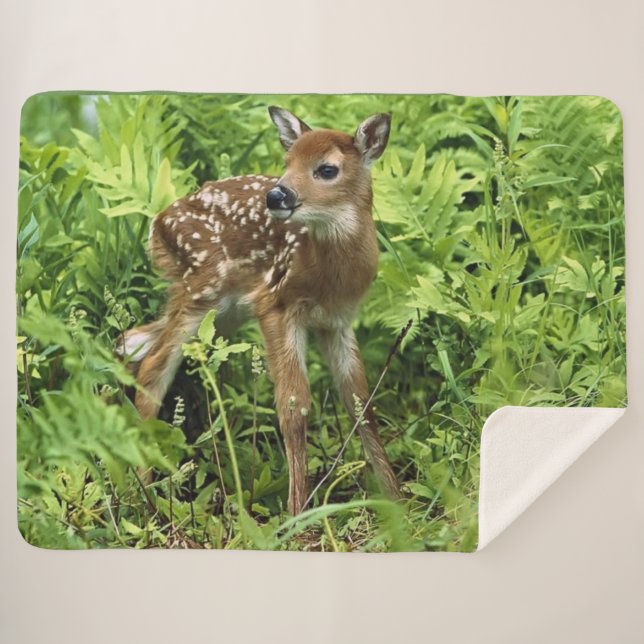 FAWN SHERPA BLANKET (Front (Horizontal))
