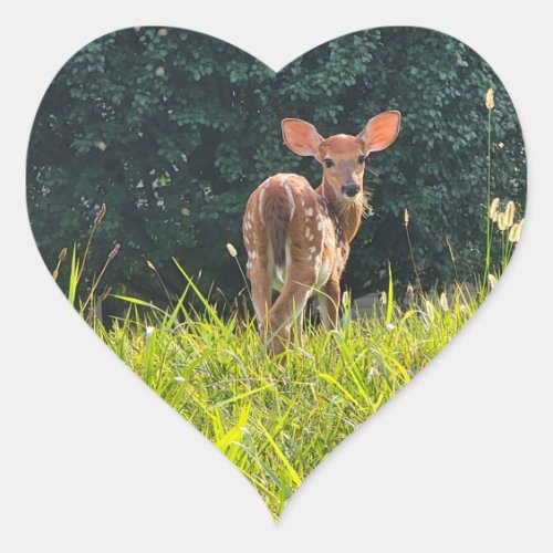 Fawn Standing in the Grass Heart Sticker