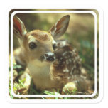 Fawn Stickers