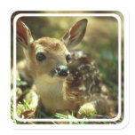 Fawn Stickers