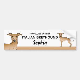 Fawn - Travelling With My Italian Greyhound Dog Bumper Sticker