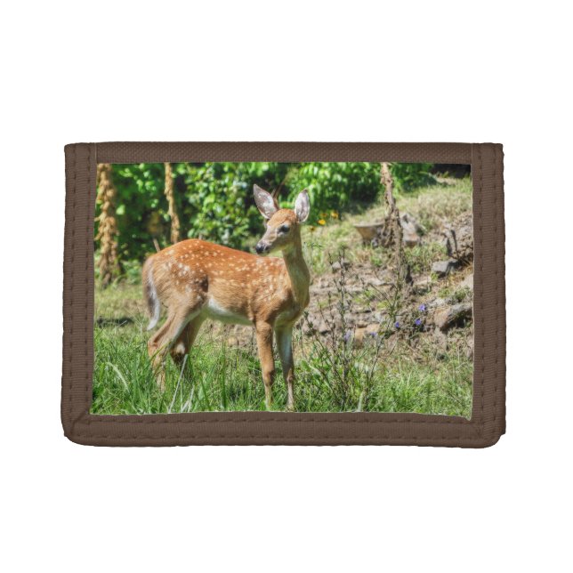 Fawn  trifold wallet (Front)