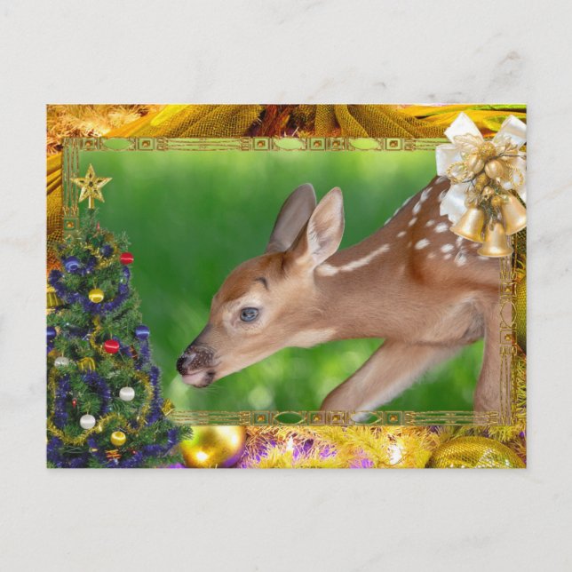 Fawn (white-tailed deer) Christmas Card (Front)