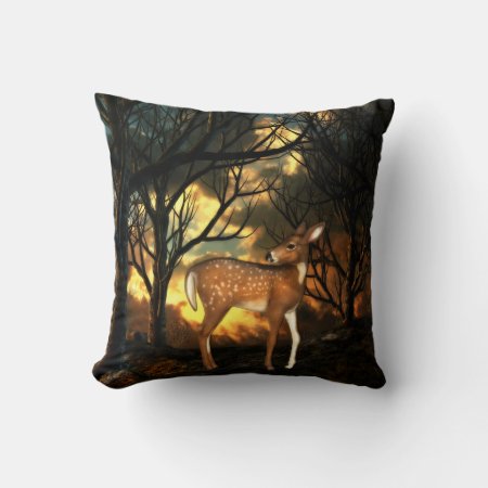Fawn, Young Deer of the Forest