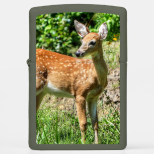 Fawn zippo lighter