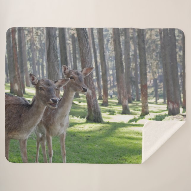 FAWNS SHERPA BLANKET (Front (Horizontal))