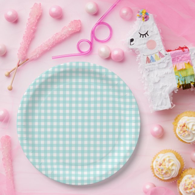 Faye and Lauren Aqua Blue Gingham Paper Plates (Party)