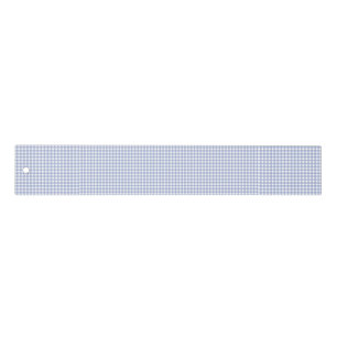 Faye and Lauren Light Blue Gingham Ruler