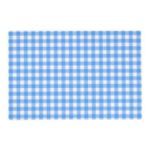 Faye and Lauren Sky Blue Gingham