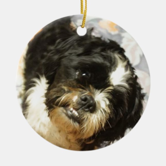 FB_IMG_1481505521015 Shitzu dog Ceramic Ornament (Front)