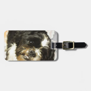 FB_IMG_1481505521015 Shitzu dog Luggage Tag
