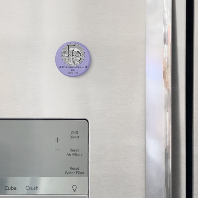 FD magnet (In Situ (Fridge))