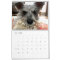 Fear the Beard: Schnauzer Edition