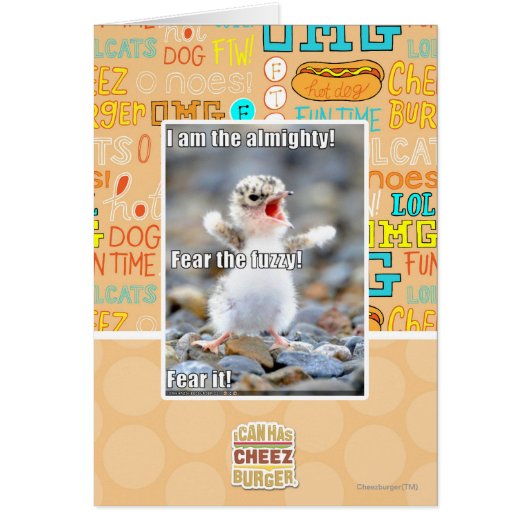 Fear the Fuzzy! Cards (Front)