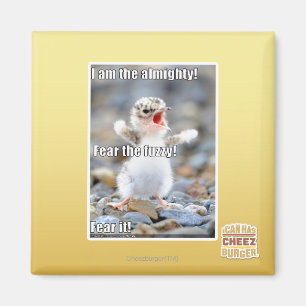 Fear the Fuzzy! Magnet
