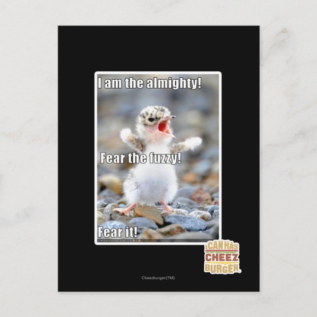 Fear the Fuzzy! Postcard (Front)