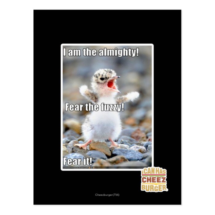 Fear the Fuzzy Postcards