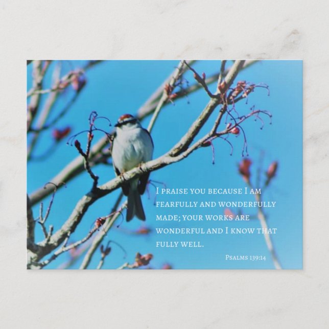 Fearfully and Wonderfully Made Photo Verse Postcard (Front)