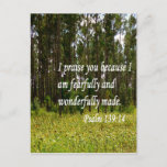 Fearfully and Wonderfully Made Postcard
