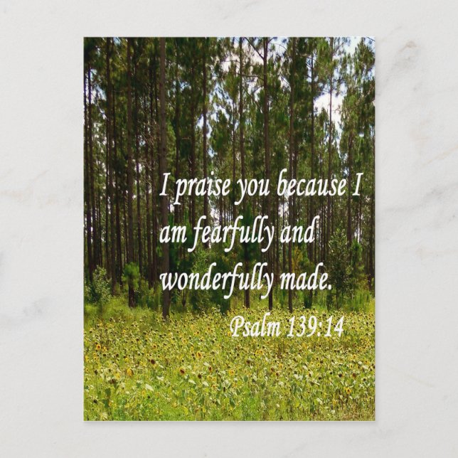 Fearfully and Wonderfully Made Postcard (Front)
