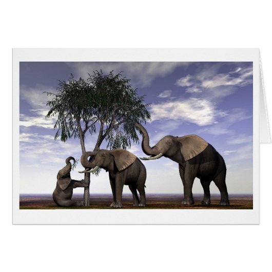 Feast or Famine-Elephants - Customized Cards (Front Horizontal)