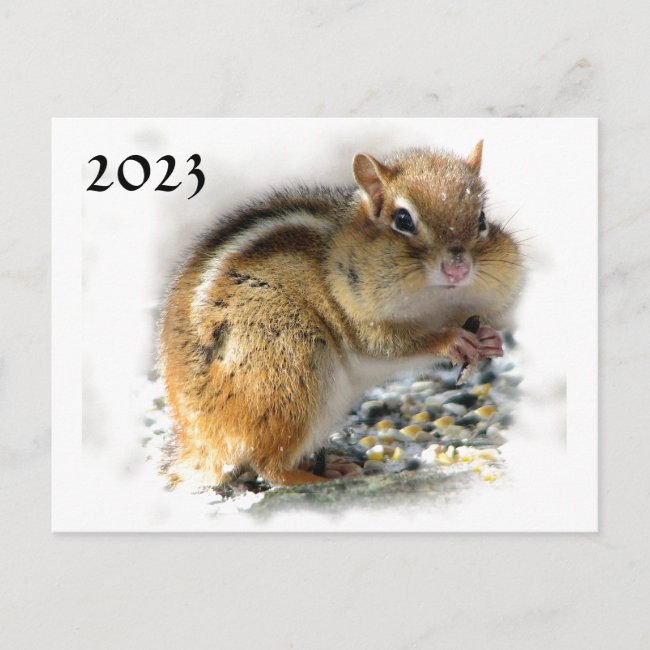Feasting Chipmunk 2023 Calendar on Back Postcard
