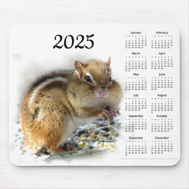 Feasting Chipmunk 2025 Animal Nature Calendar