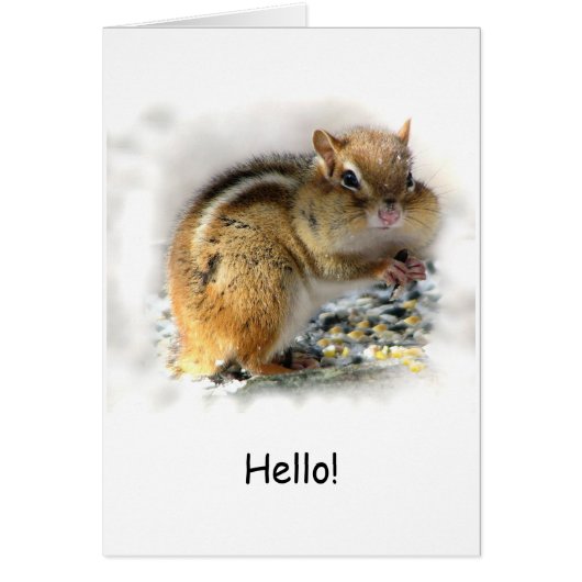 Feasting Chipmunk Cards (Front)