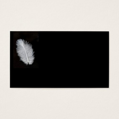 Feather Business Card Templates