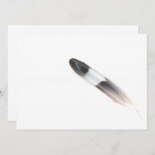 Feather (Front/Back)