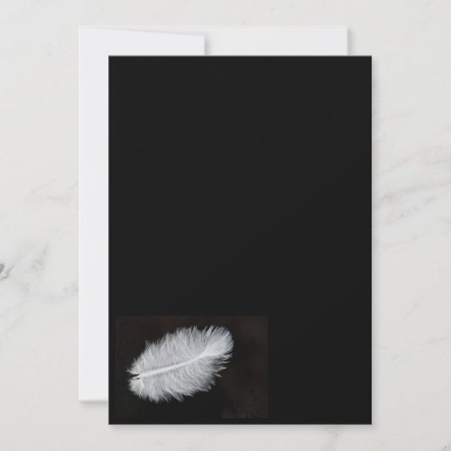 Feather Custom Announcements
