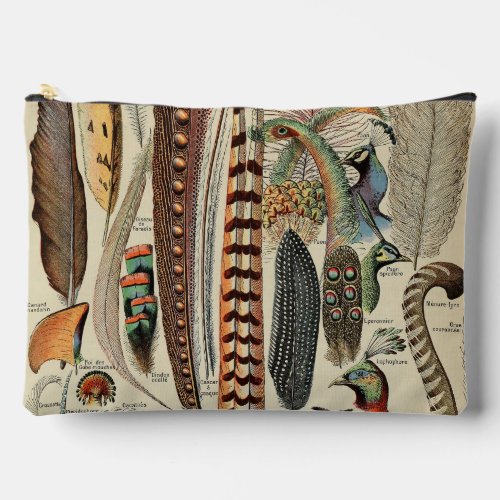 Feather Bird Wildlife Antique Feathers Accessory Pouch